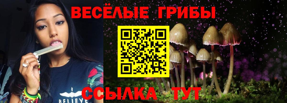 Галлюциногенные грибы Psilocybine cubensis Кисловодск