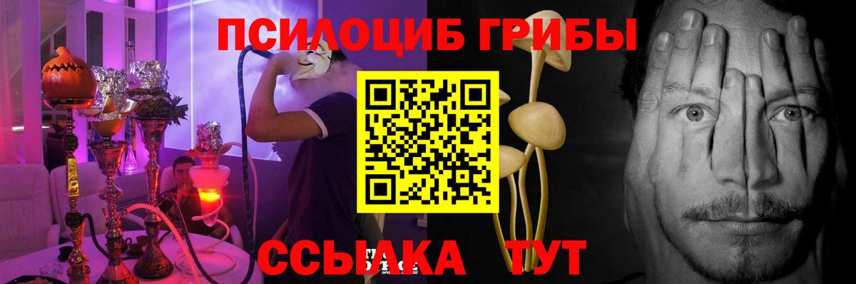 Кисловодск  Галлюциногенные грибы мицелий  Галлюциногенные грибы Cubensis  Вход с VPN 